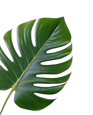 dasna forest villas theme